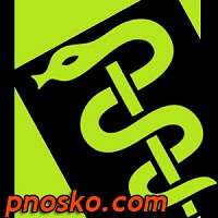 pnosko.com